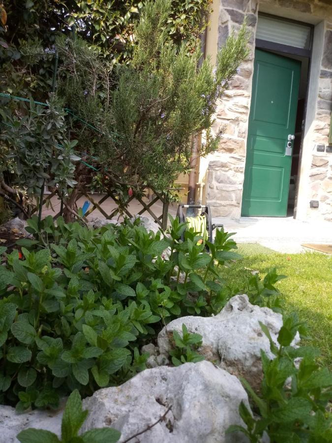 B&B Malpensa Ticino Valley Vizzola Ticino Buitenkant foto